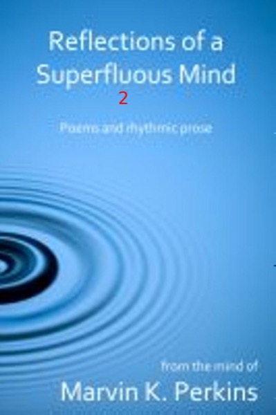 Reflections of a Superfluous Mind 2 by Marvin Perkins