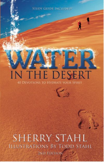 The Guide of the Desert by Gustave Aimard