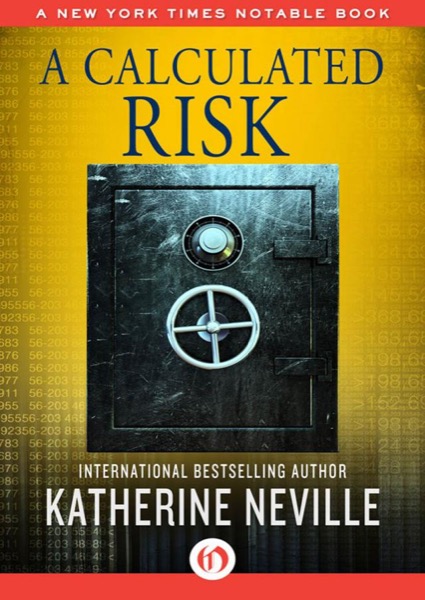 A Calculated Risk by Katherine Neville