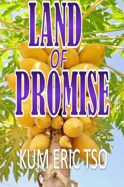 Land of Promise by Kum Eric Tso