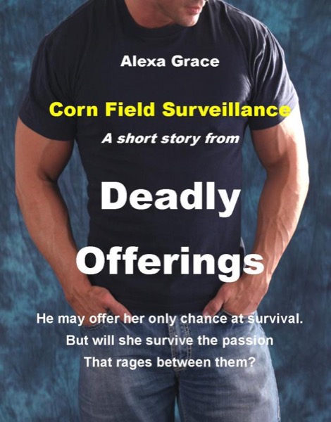 Corn Field Surveillance: A Short Story by Alexa Grace