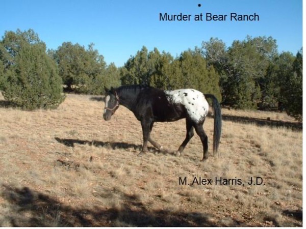 Murder at Bear Ranch by Alex Harris