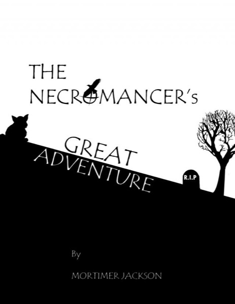 The Necromancer's Great Adventure by Mortimer Jackson