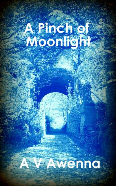 A Pinch of Moonlight by A V Awenna