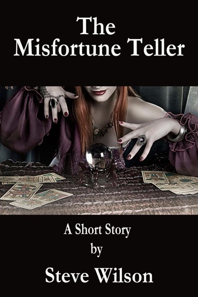 The Misfortune Teller by Steven Patrick Wilson