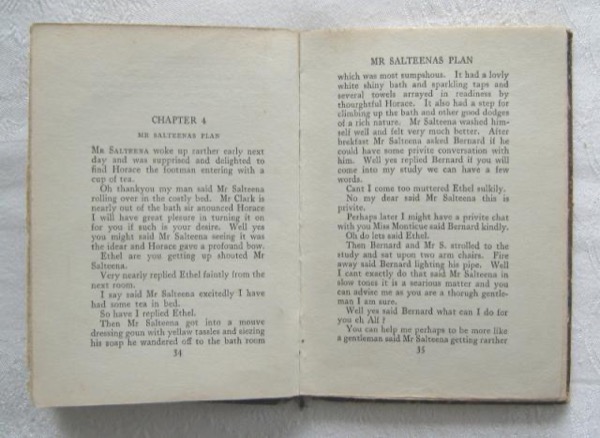 The Young Visiters or, Mr. Salteena's Plan by Daisy Ashford