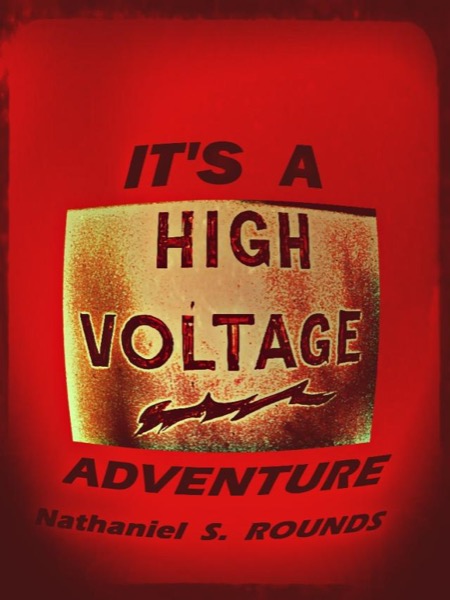 It’s a High Voltage Adventure by Fowlpox Press