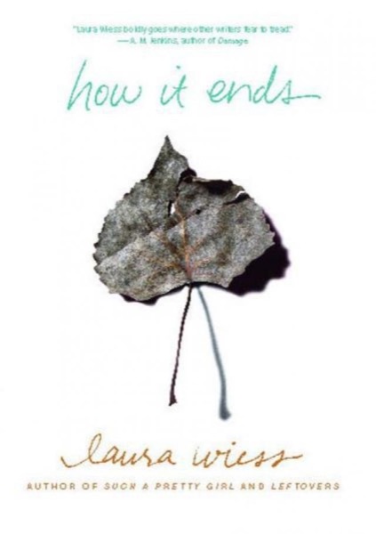 How It Ends by Laura Wiess