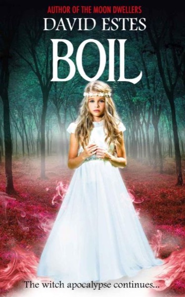 Boil (Salem's Revenge Book 2) by David Estes