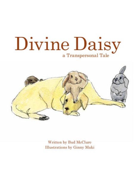 Divine Daisy:  A Transpersonal Tale by Bud McClure