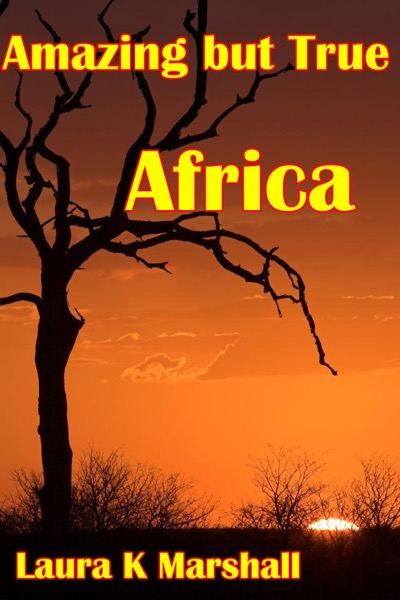 Amazing but True - Africa Adventure Book 1 by Laura K Marshall