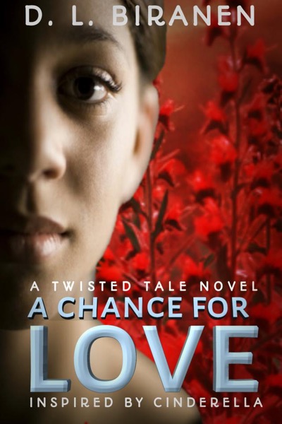 A Chance For Love by D. L Biranen