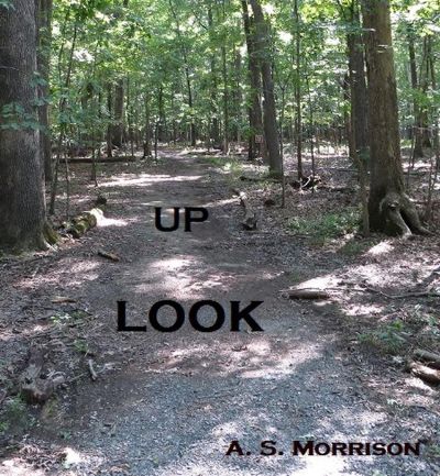 Look Up by A.S. Morrison