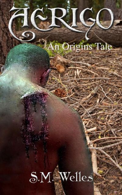 Aerigo: An Origins Tale by S.M. Welles