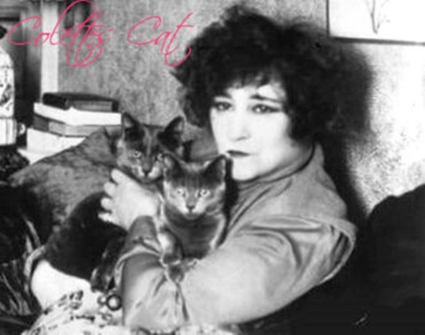 Colette's Cat by Jennifer York