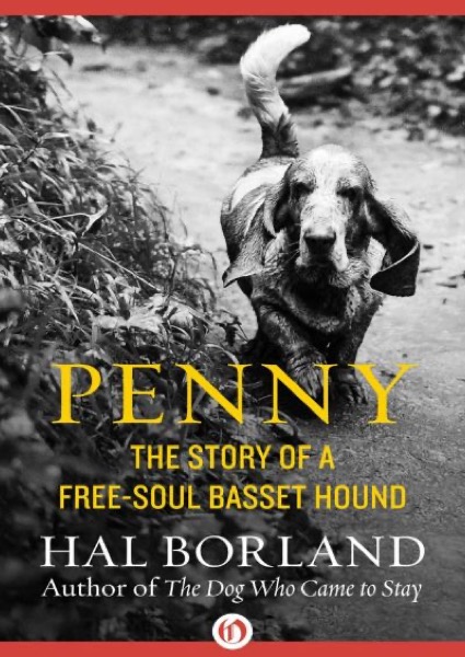 Penny by Hal Borland