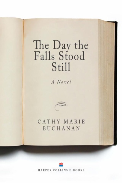 The Day the Falls Stood Still by Cathy Marie Buchanan