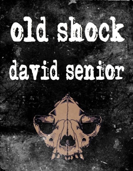 Old Shock by David Senior