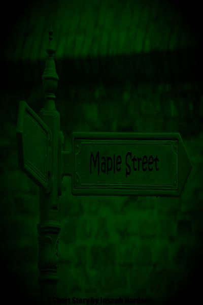 Maple Street by Joseph Nardone
