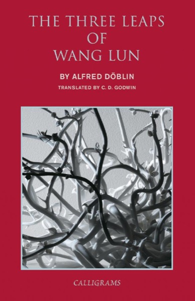 The Three Leaps of Wang Lun by Alfred Doblin