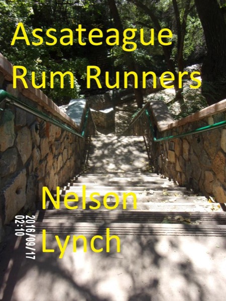 Assateague Rum Runners by Nelson Lynch