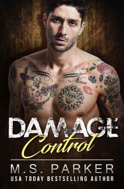 Damage Control by Lisa Renee Jones