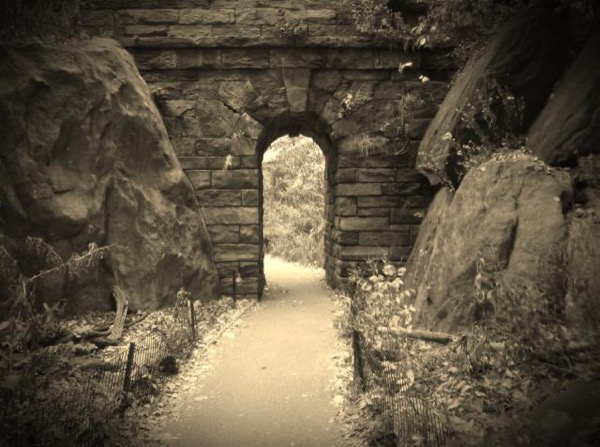 Life in Unexpected Places by Justin Van Winkle
