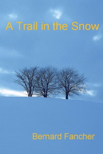 A Trail in the Snow by Bernard Fancher