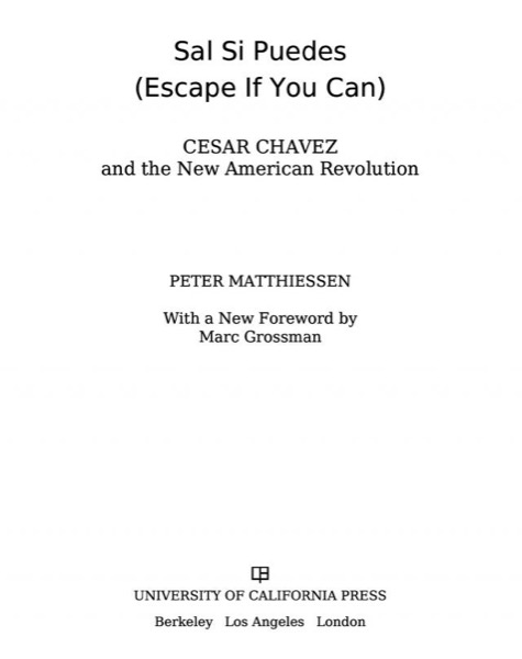Sal Si Puedes (Escape if You Can) by Peter Matthiessen