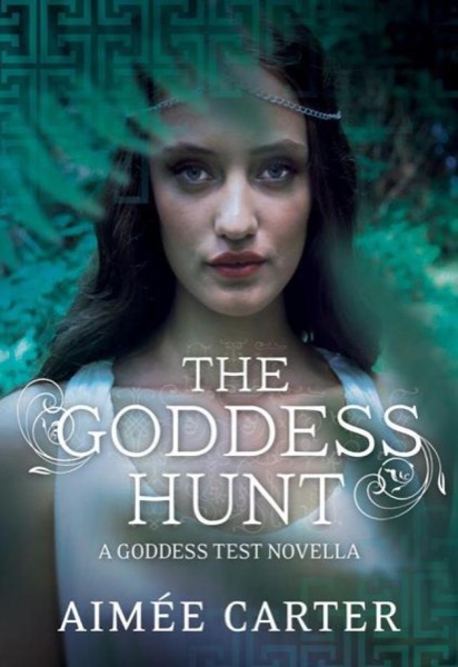 The Goddess Hunt by Aimee Carter