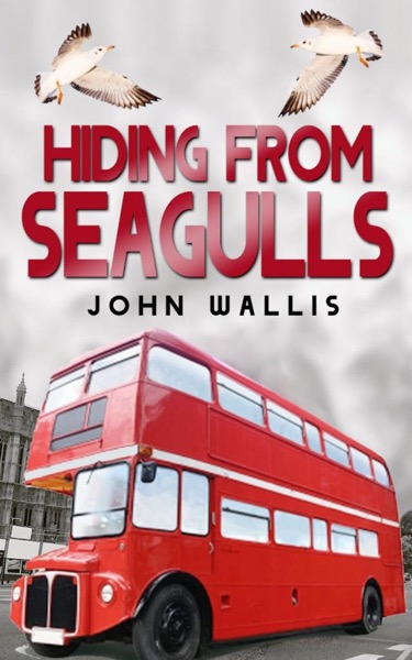 Hiding From Seagulls by John Wallis