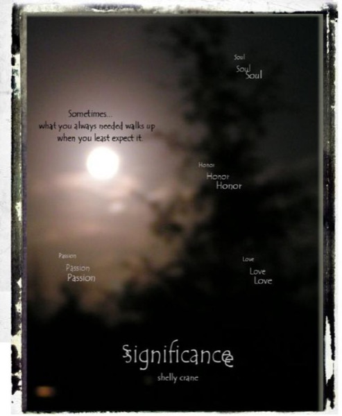 Significance by Shelly Crane