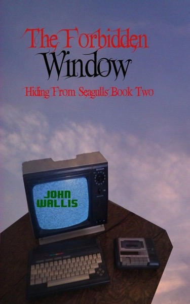 The Forbidden Window (Hiding from Seagulls Book 2) by John Wallis