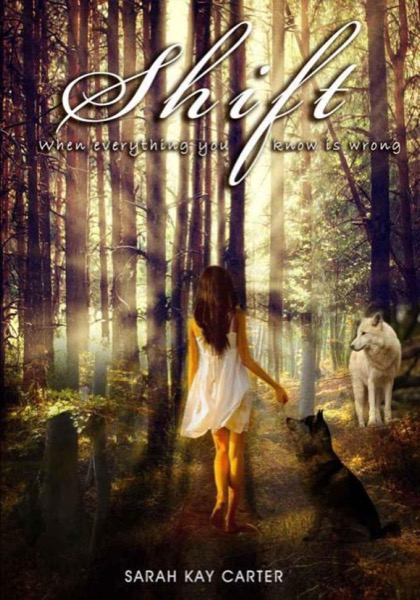 Shift (The Neturu Chronicles) by Sarah Kay Carter