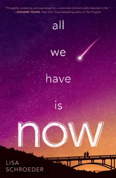 All We Have Is Now by Lisa Schroeder