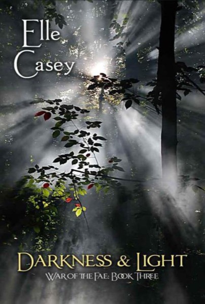 Darkness and Light by Elle Casey