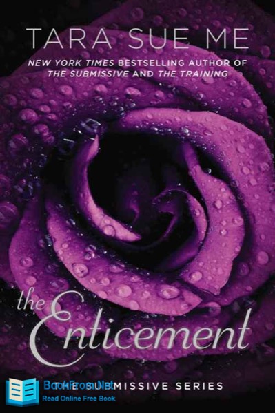 The Enticement by Tara Sue Me