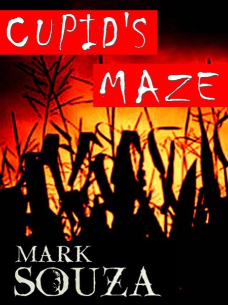 Cupid's Maze by Mark Souza