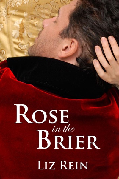 Rose in the Brier by Liz Rein