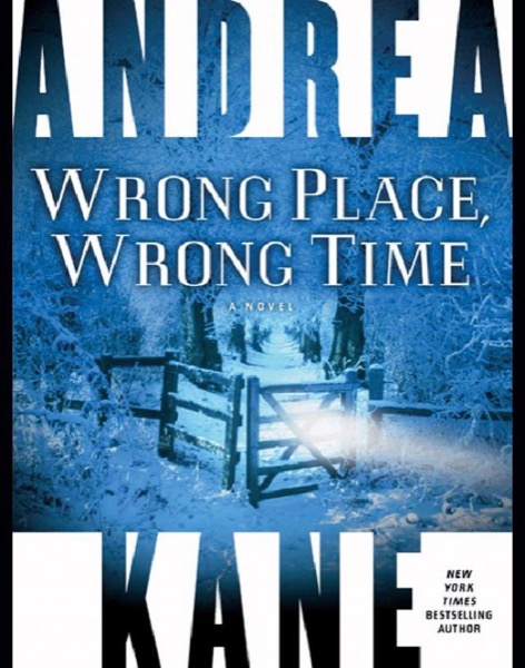 Wrong Place, Wrong Time by Andrea Kane