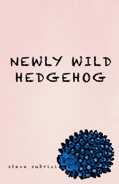 Newly Wild Hedgehog by Steve Subrizi