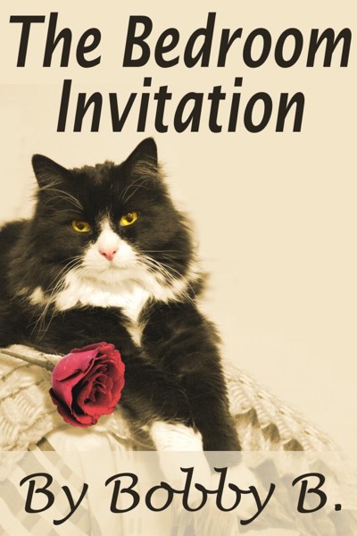 The Bedroom Invitation by Ron wayne