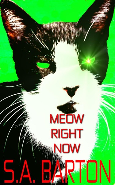 Meow Right Now by S. A. Barton