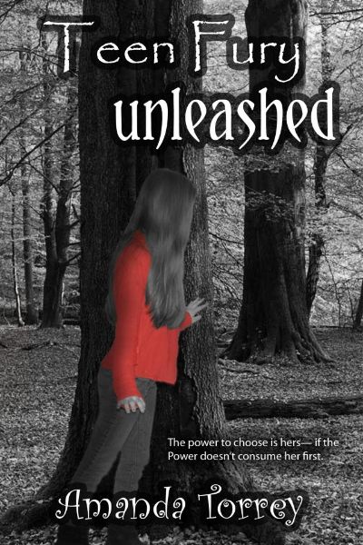 Teen Fury: Unleashed by Amanda Torrey