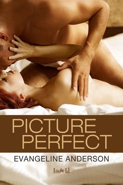 Picture Perfect by Jodi Picoult