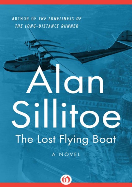 The Lost Flying Boat by Alan Silltoe