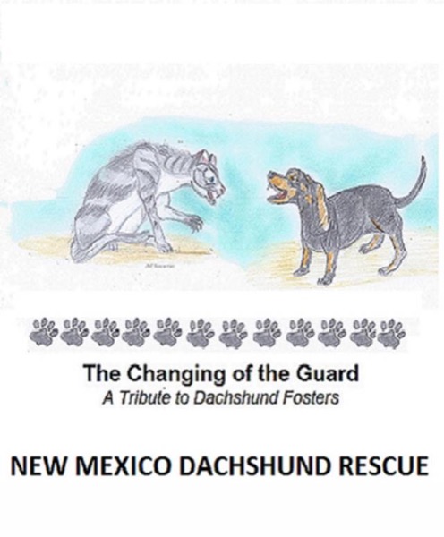 The Changing of the Guard by New Mexico Dachshund Rescue