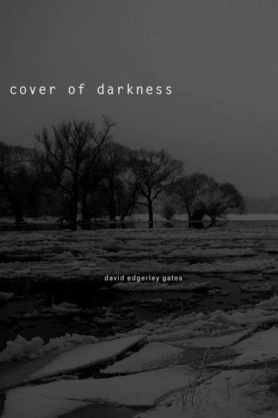 Cover of Darkness by David Edgerley Gates