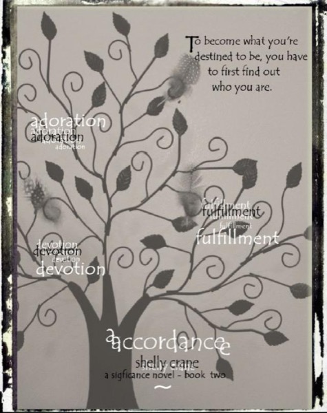 Accordance by Shelly Crane