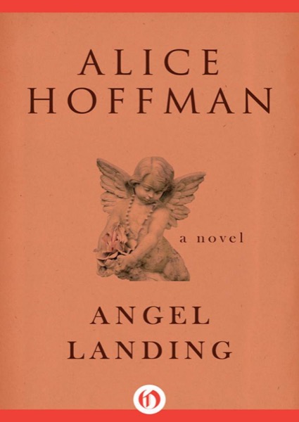 Angel Landing by Alice Hoffman